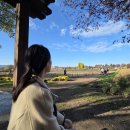 NR-7[원화로]-상-22 | [경주 1박 2일 가을 여행 코스] 맛집 카페 숙소추천 십원빵맛집 황리단길 단풍명소 향미사 연화 솥밥...