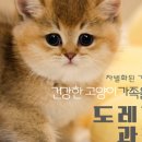 과천대로1나길 네이버블로그