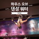 마카오 하우스오브댄싱워터 :: 예약방법 할인정보 가는법 공연일정