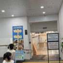 이영란의 밀가루체험놀이 「가루야 가루야 」 | 고양 “이영란의 밀가루 체험놀이 가루야 가루야” 체험 후기