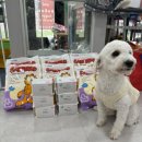 동물보육원 이미지