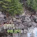 영덕해산물 이미지