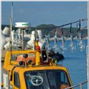 해운대에 올라 이미지