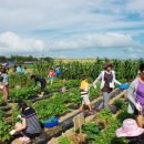 남도농장 이미지