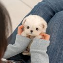 청도메디컬 이미지