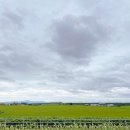 합덕연지마을 이미지