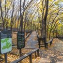 계남공원 이미지