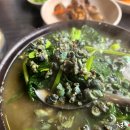 진국 티스토리