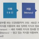 세움소아청소년과의원 네이버블로그