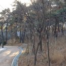 석촌근린공원 화장실 이미지