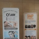오래쉬(O’LASH) 이미지