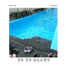성주미니펜션 | 대구 근교 펜션 추천, 수영장이 있는 경북 성주 참조은 펜션 후기
