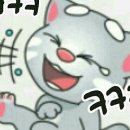 아차돌 이미지