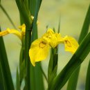 (주)메덱스 이미지