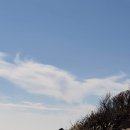 [독서 후기 | 경영.경제 | 트렌드] &#39;트렌드 코리아 2019&#39;를 읽고