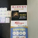 애오개 피부관리 30년 내공의 레이디스킨앤바디 고주파 등 관리 힐링 후기