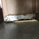 통일 여인숙 이미지