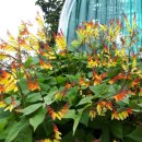 오두목장 이미지