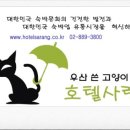 우산쓴고양이 이미지