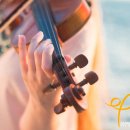 바이올린 1:1 레슨 이미지