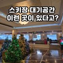 아라비스타 | 엘리시안 강촌 스키장 카페 스키 안 타는 엄마 대기공간