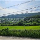 비자사랑행정사사무소 이미지