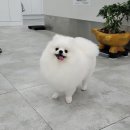 24시 위드유 동물의료센터 이미지