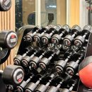 몸가짐 퍼스널트레이닝 이미지