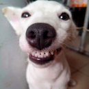 꽃담플라워 이미지