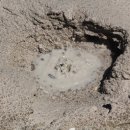 썸(Thumb) 이미지