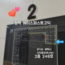 청춘어항 이미지