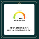 퀸덤피트니스 이미지