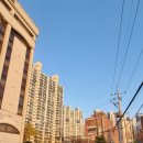 신평동1009 이미지