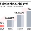 카페24 무슨일? 유튜브 최초 공식 라이브 커머스 런칭?