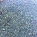 스테이 장호 이미지