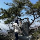 형제농원 | 광교산 등산 후 형제농원 푸파 내돈내산 솔직후기