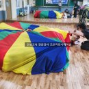 노전초 이미지