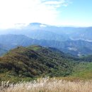 징검다리 이미지