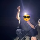 해양낚시펜션 | 통영욕지도🏝️1박2일 다녀온 후기✌️욕지해운 배내부 | 해양대국 스킨스쿠버🤿체험 | 바다앞민박집 | 낚시...