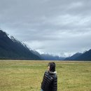 명은여행사 | [뉴질랜드 남섬] 밀포드사운드 버스 일일투어 후기(1) | 예약방법 | 준비물