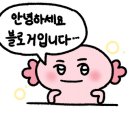 코코몽드 이미지