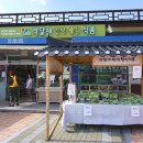 박달재한방웰빙식품 이미지