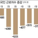일손인력 이데일리