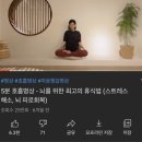 L 테아닌 효과 있었던 영양제 추천