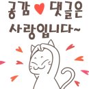 하삼동커피 시청비스타동원점 이미지