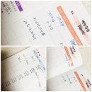 김포강아지고양이 멍냥아구래구래 | 김포강아지분양 - 멍냥아구래구래