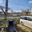 고원목장(2) 이미지