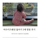여수키즈펜션 돌아기 5세 독채 수영장 방문 후기