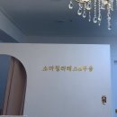 소마필라테스&무용 | 부산 해운대 장산 소마 필라테스 & 무용 ෆ .̮ ෆ (내돈내산 후기!)