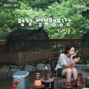 펜션벨뷰캠핑장 | 강원도 계곡 캠핑장 추천, 전 사이트 그늘존 벨뷰 캠핑장